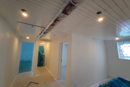 peinture trimétal sur plafond